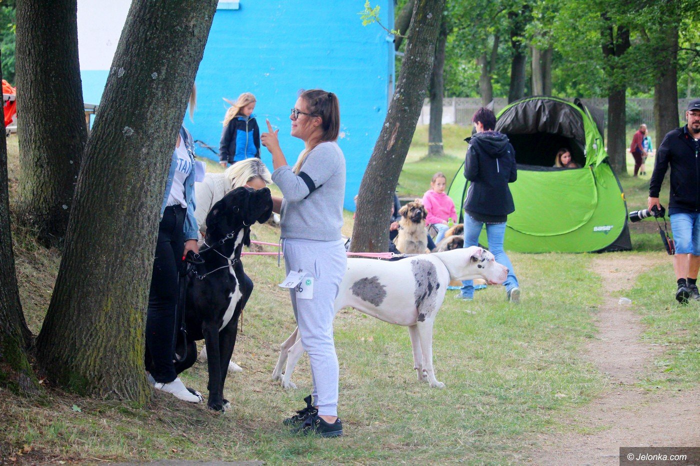 wystawa-psow-jeszcze-dzisiaj-75832