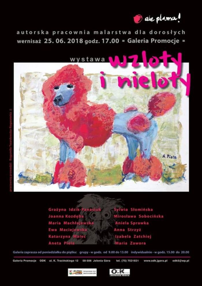 wystawa-wzloty-i-nieloty-w-odk-75840