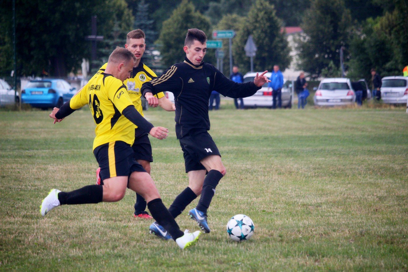 bobry-z-pucharem-wojta-mysakowic-75852