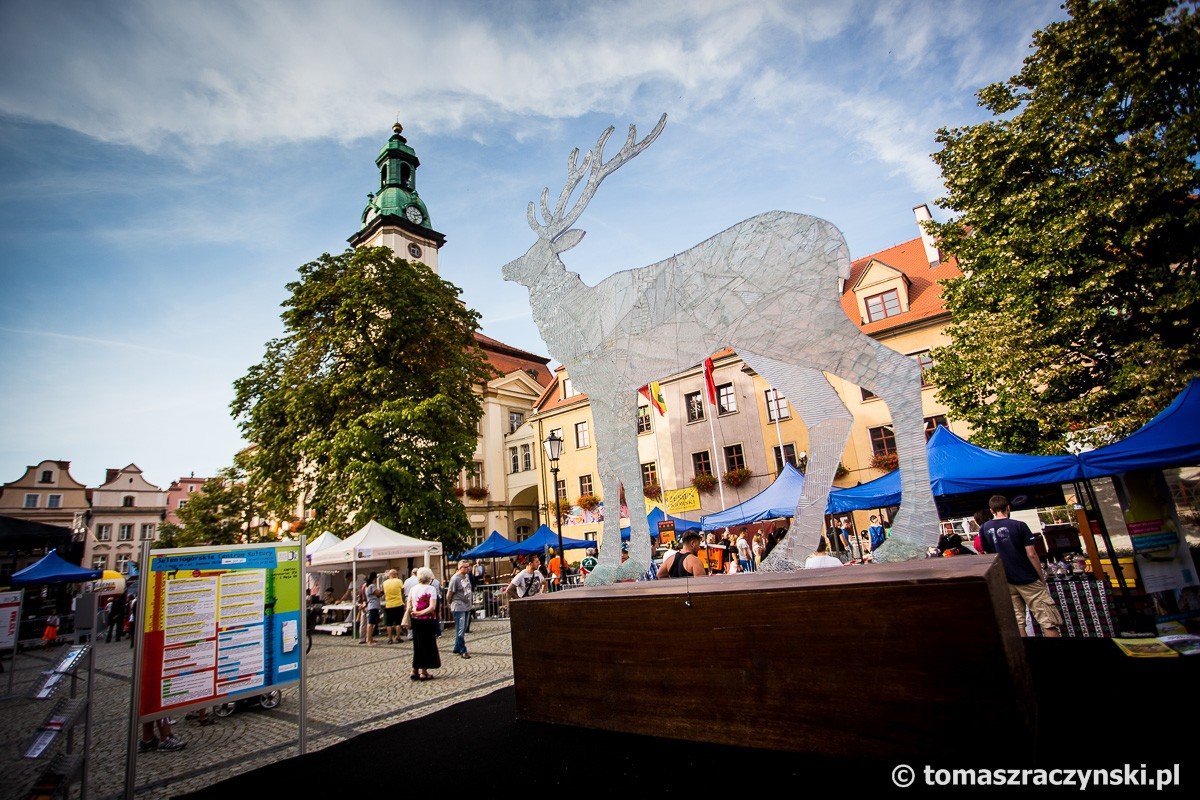 piaseczny-i-wyrostek-gwiazdami-festiwalu-75896