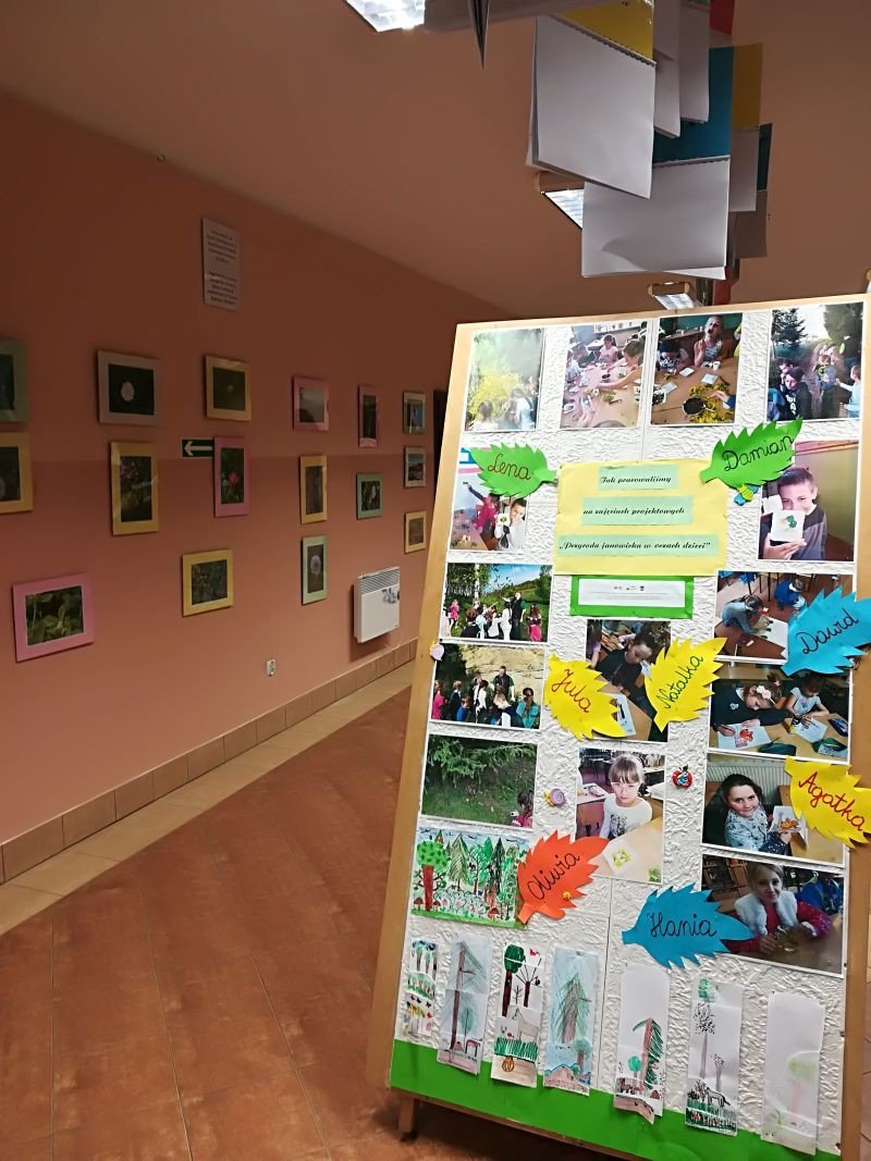 malowana-przyroda-75926