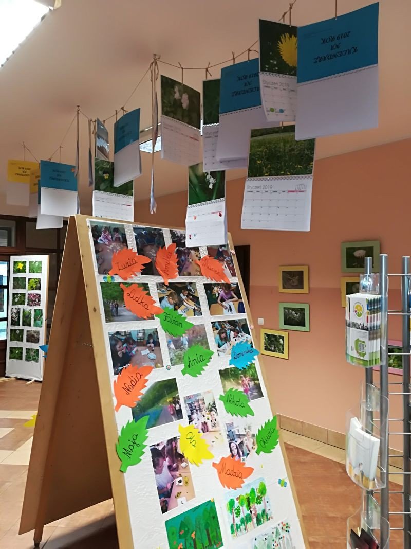 malowana-przyroda-75926