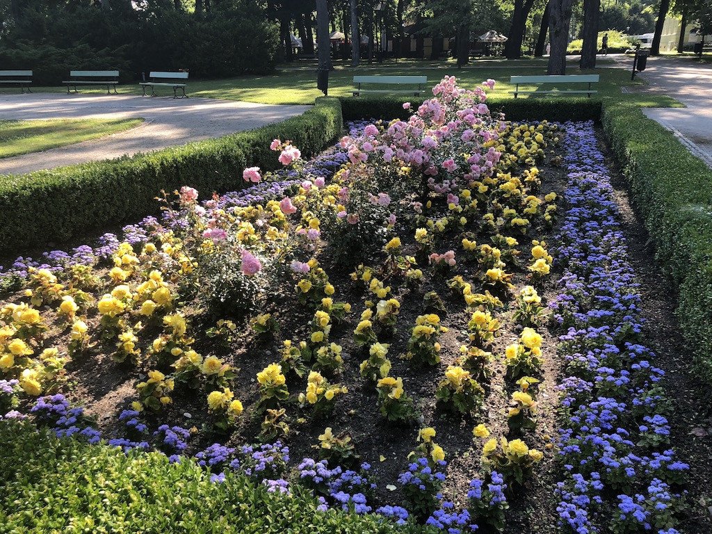 park-zdrojowy-kwitnie-76201