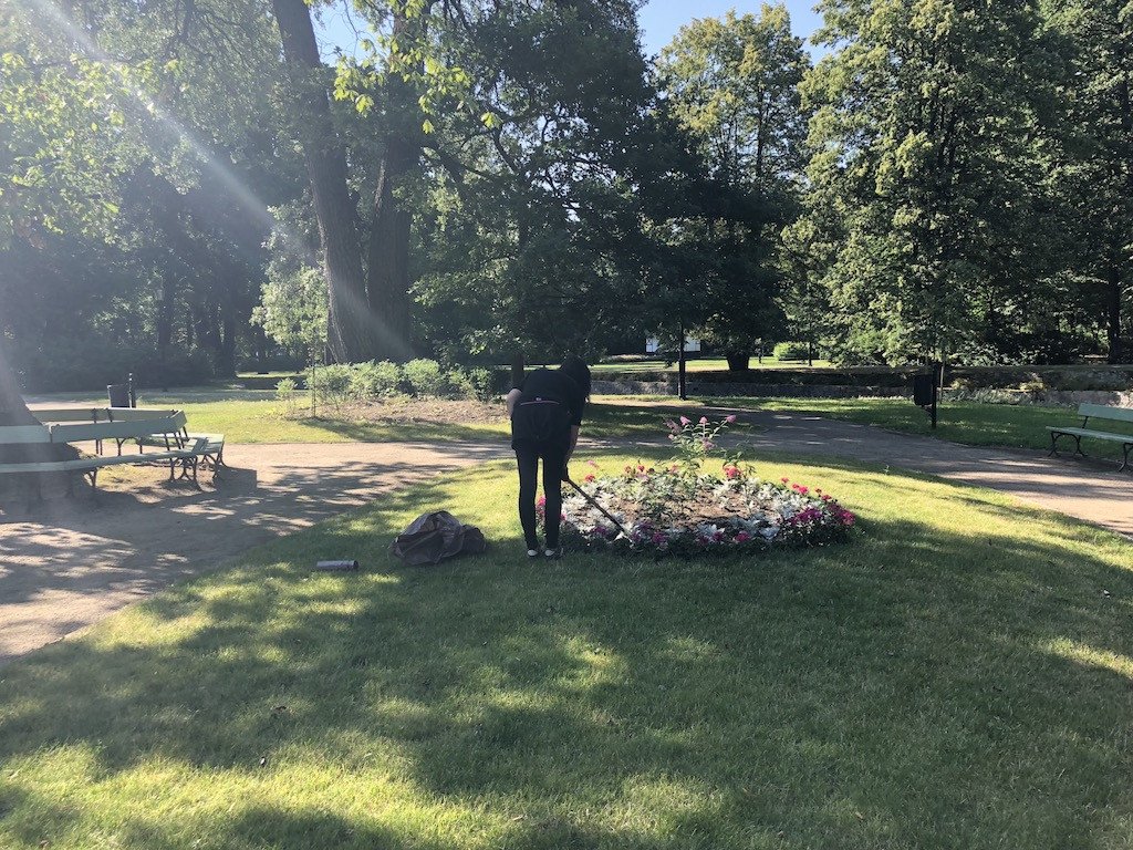 park-zdrojowy-kwitnie-76201