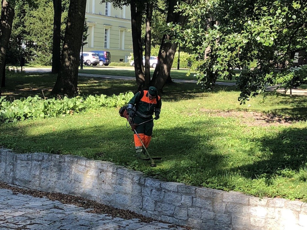 park-zdrojowy-kwitnie-76201