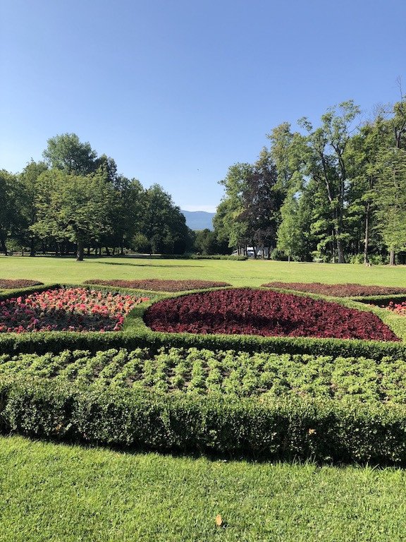 park-zdrojowy-kwitnie-76201