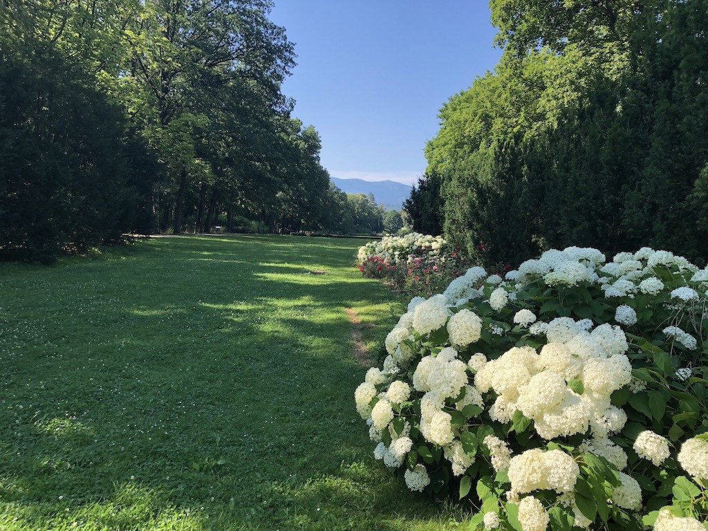 park-zdrojowy-kwitnie-76201