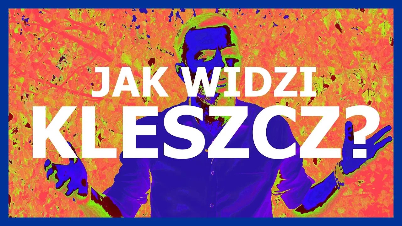 jak-uniknac-kleszczy-76354