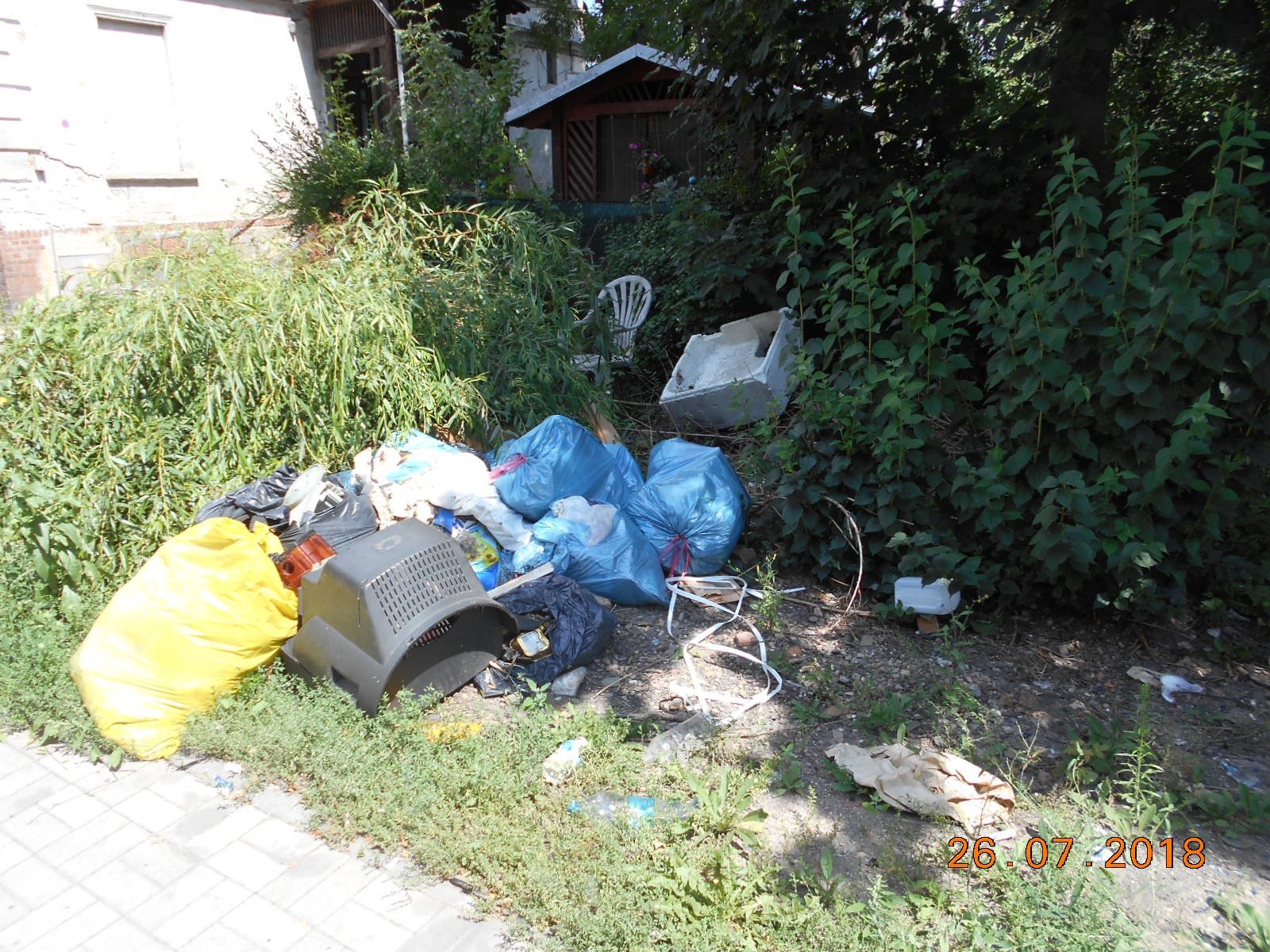 jedni-smieca-ale-paca-za-to-wszyscy-76356
