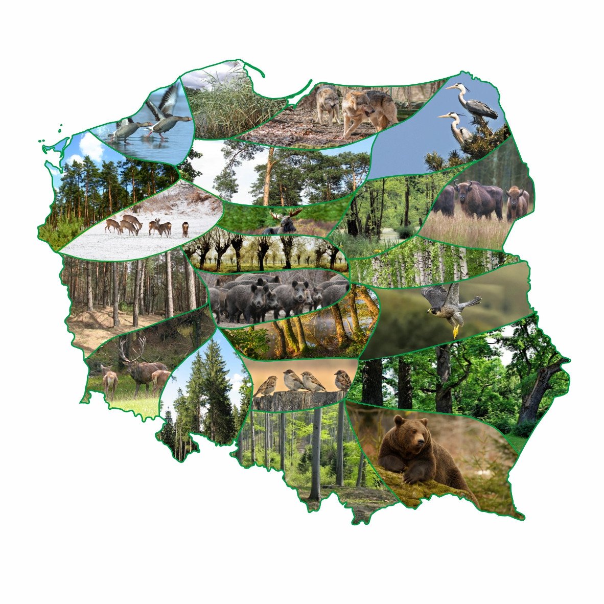 przyrodnicze-nazwy-miejscowosci-w-regionie-76374