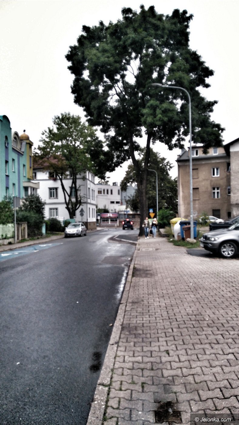 absurd-czy-troska-o-bezpieczenstwo-76582