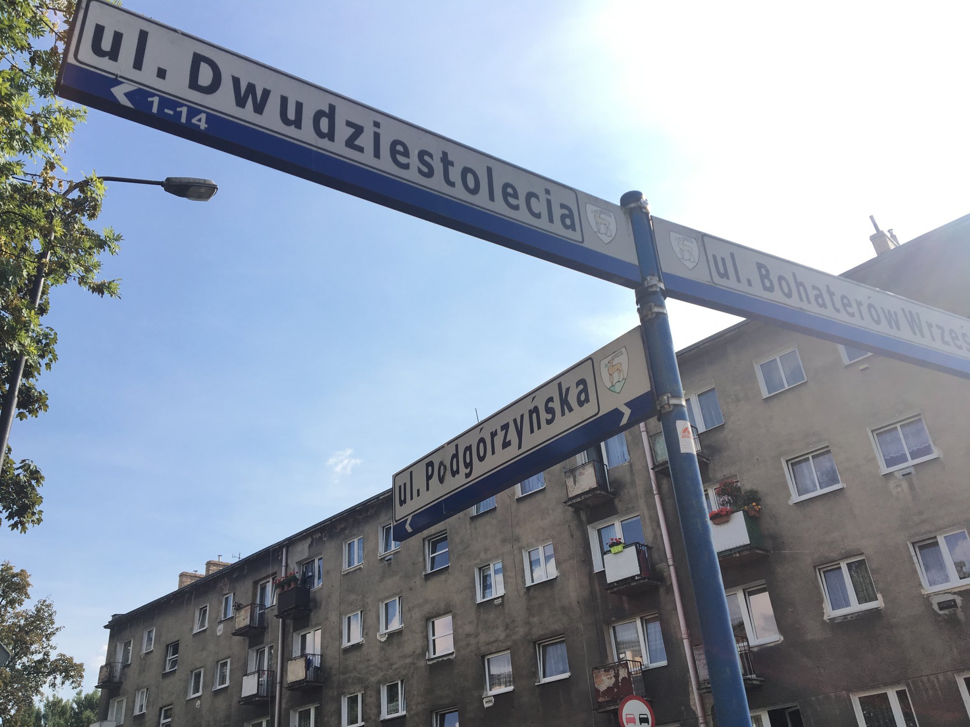 zodzieje-chcieli-ukrasc-spowalniacze-76754