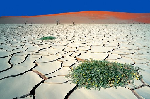 Namib-Naukluft, Namibia
