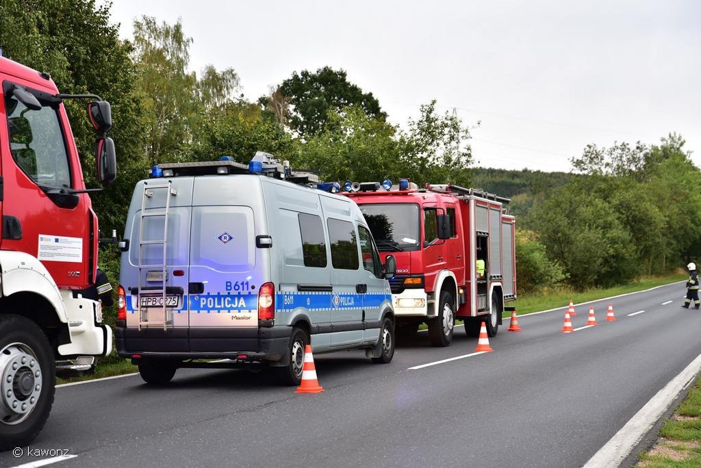 ford-wypad-z-drogi-76875