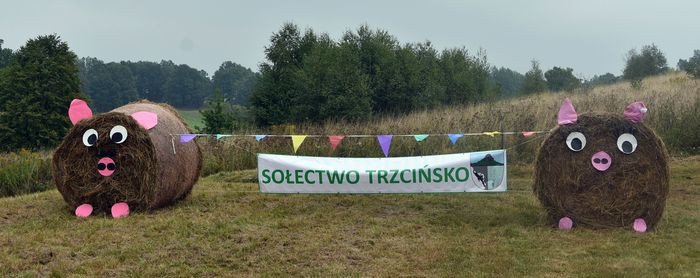 festyn-w-trzcinsku-76896