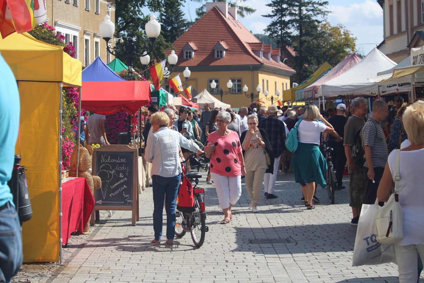 cieplice-miodem-pynace-77010