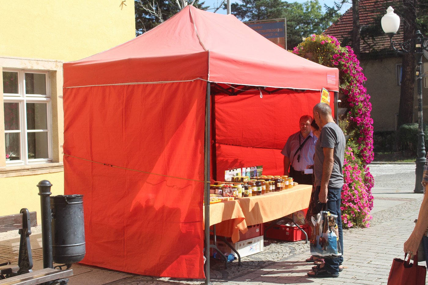 cieplice-miodem-pynace-77010