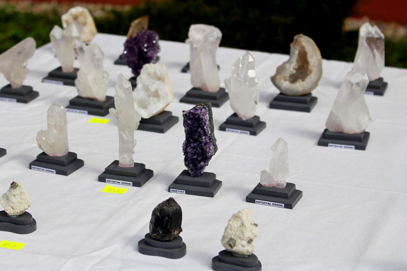 ogladali-i-kupowali-mineray-77019