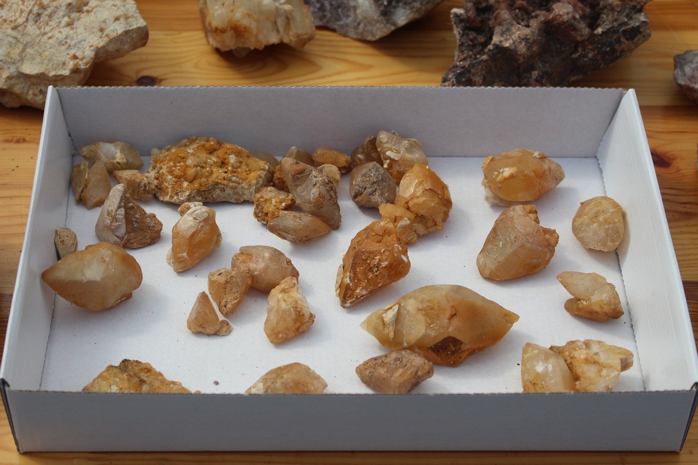 ogladali-i-kupowali-mineray-77019