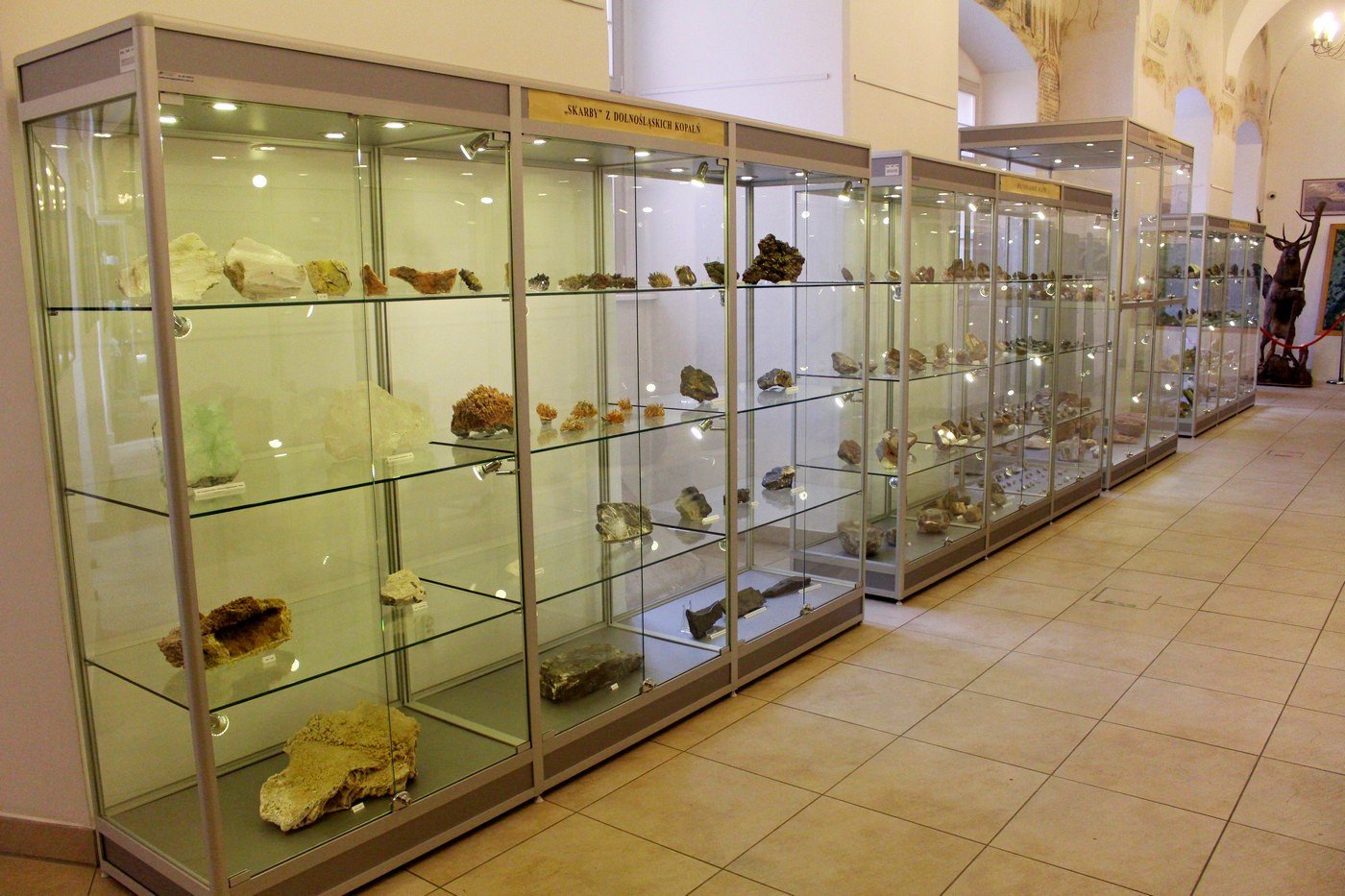 ogladali-i-kupowali-mineray-77019