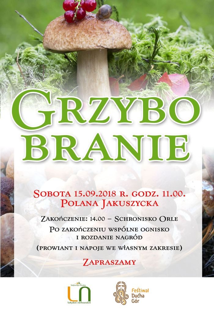 grzybobranie-2018-na-polanie-jakuszyckiej-77070