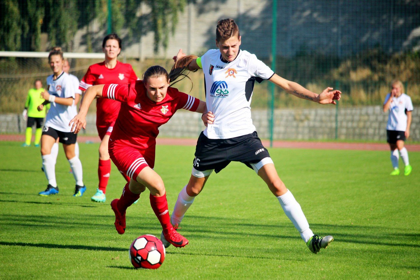 orlik-wroci-na-zwycieska-sciezke-77119