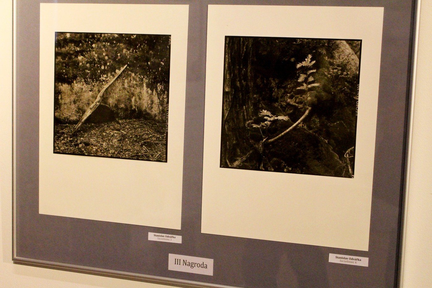 xx-biennale-fotografii-gorskiej-laureaci-77219