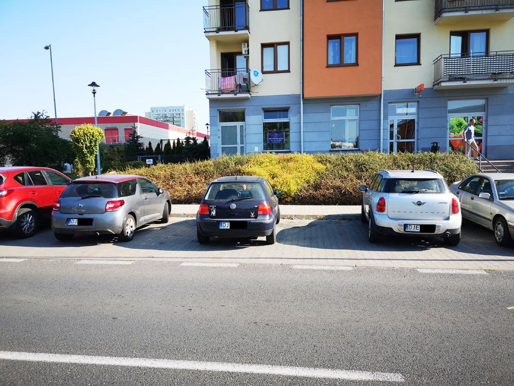 mistrz-parkowania-77223