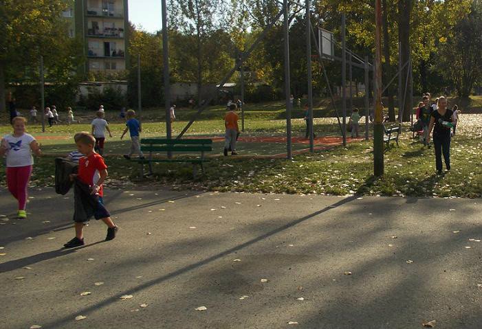 sprzatanie-swiata-w-jeleniogorskiej-sp-7-77245