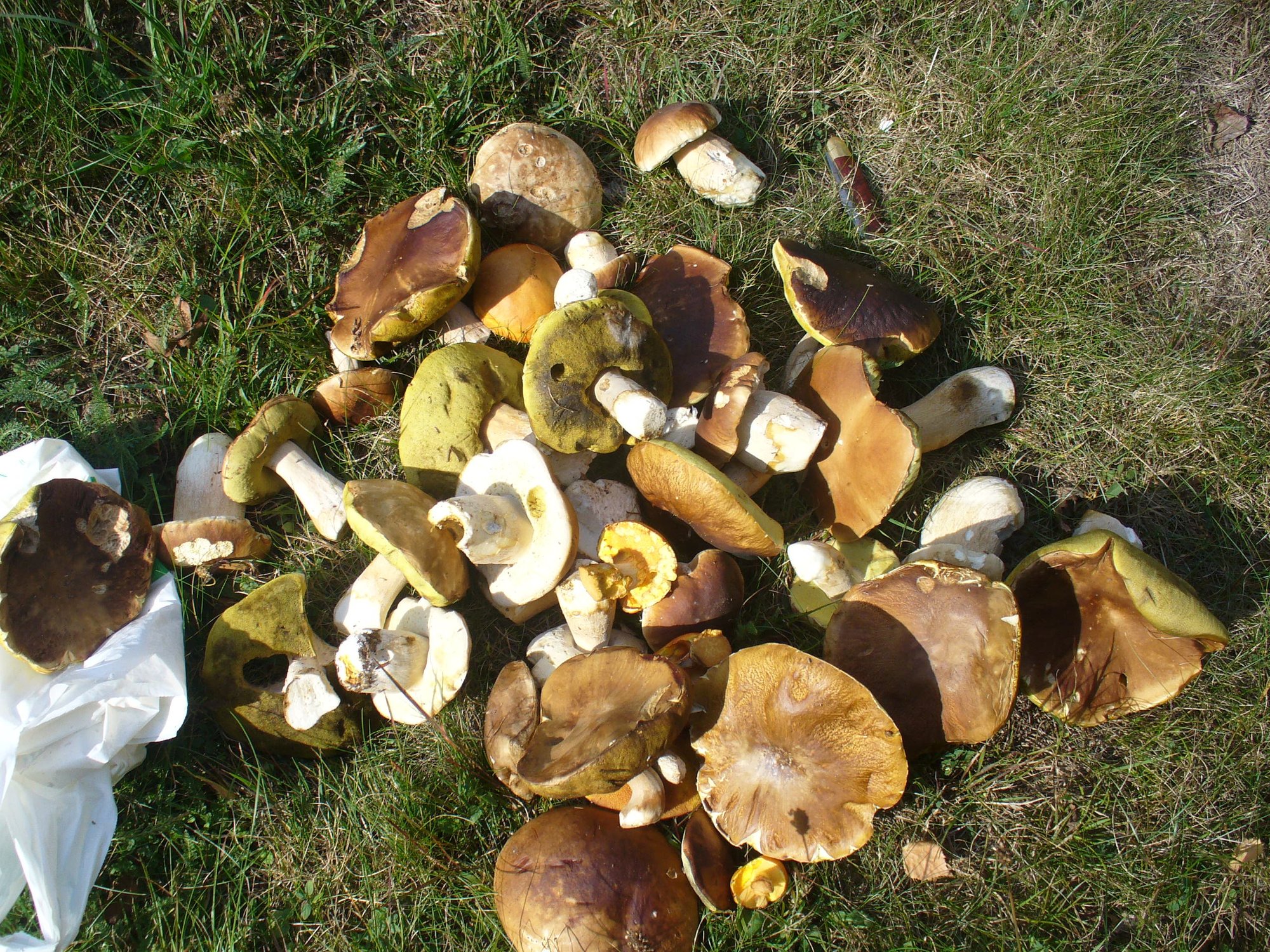 posprzatali-szlaki-77251