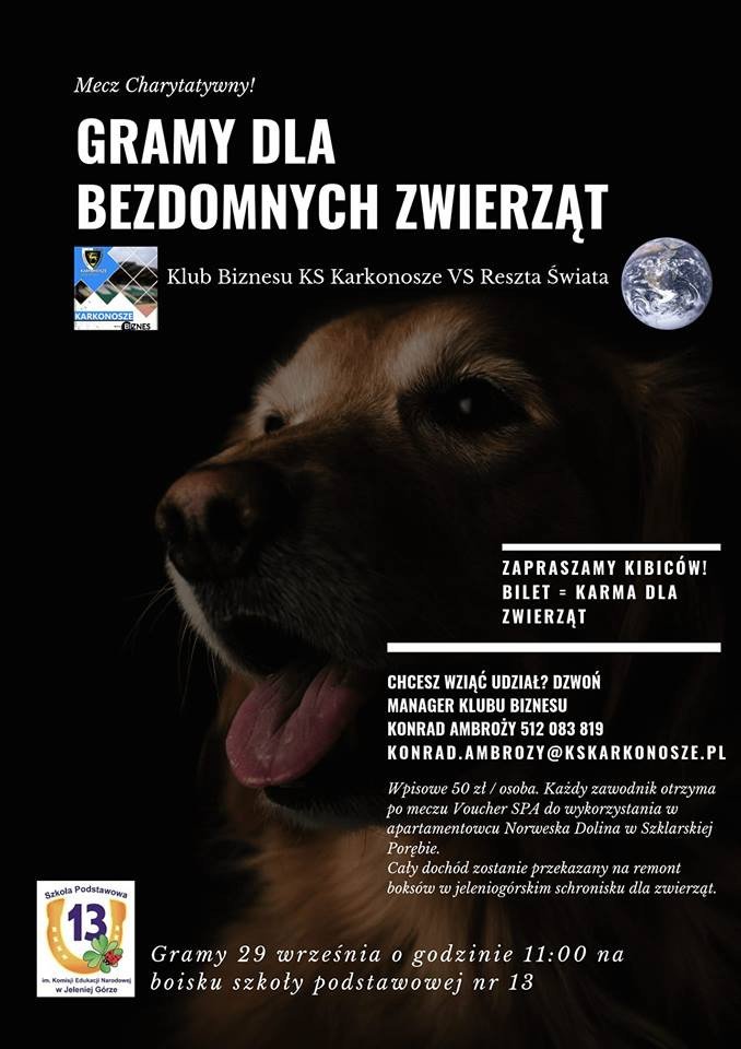 zagraj-i-wesprzyj-schronisko-77282