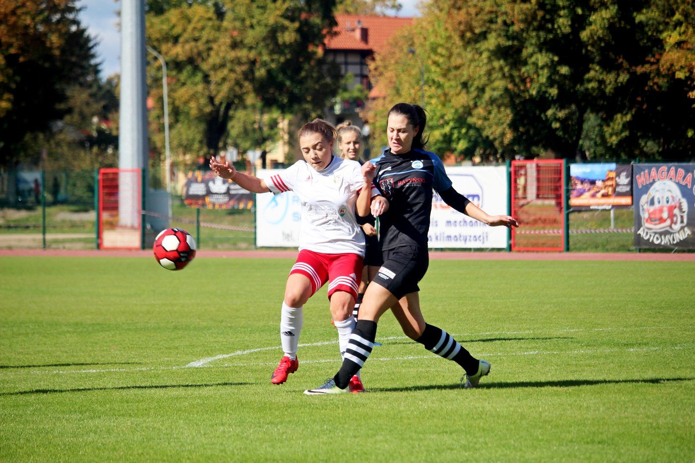 punkty-pojechay-do-gorzowa-77368
