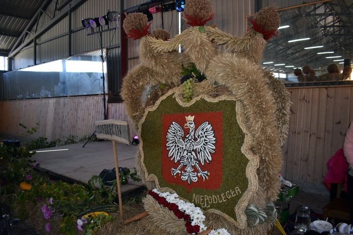 powiatowe-swieto-plonow-w-rybnicy-77376