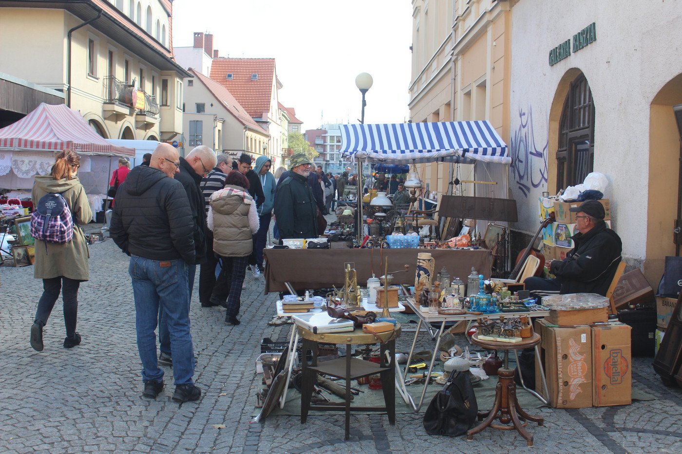 jarmark-obfitosci-77390