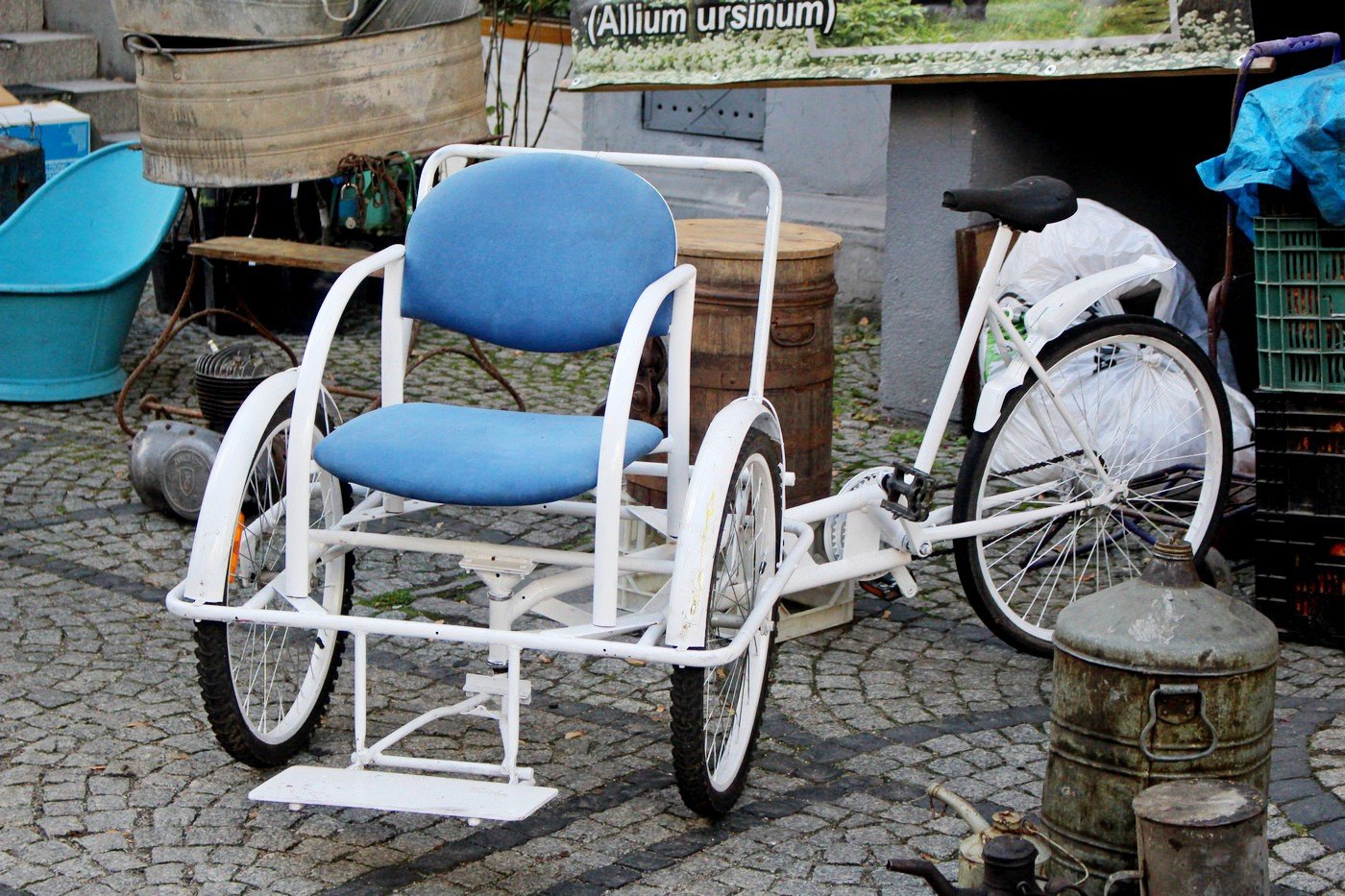 jarmark-obfitosci-77390