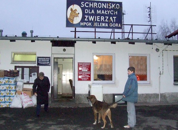 ludzkim-gosem-prosza-o-pomoc-7740