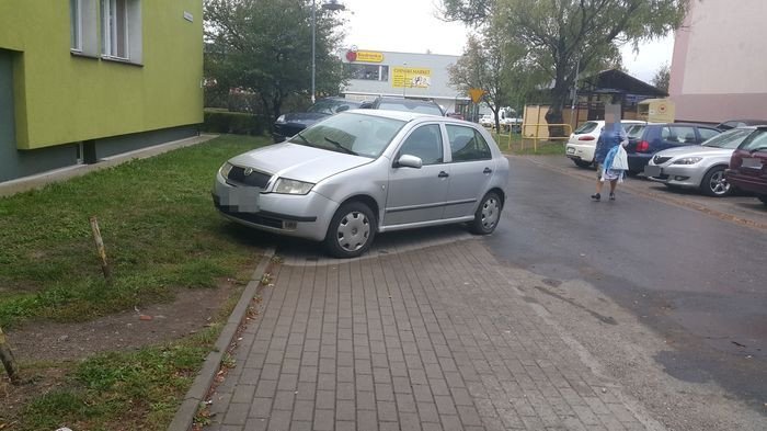 kolejni-autodranie-77415