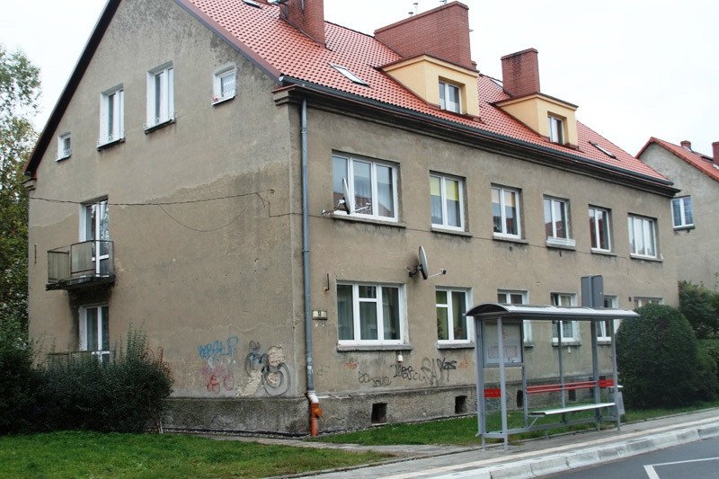 pies-umiera-w-meczarniach-77470