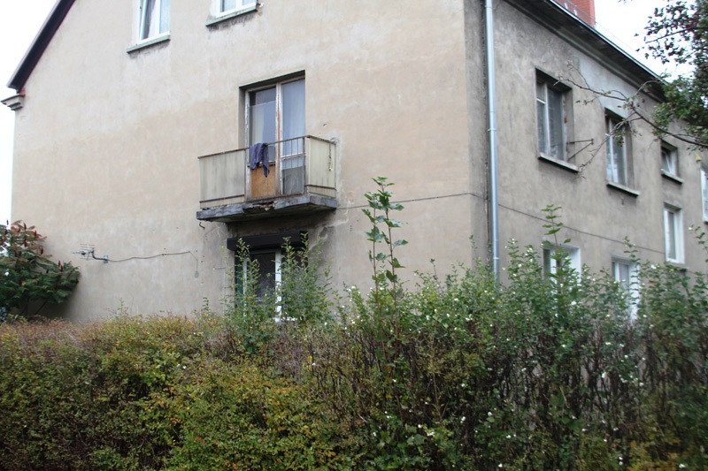 pies-umiera-w-meczarniach-77470