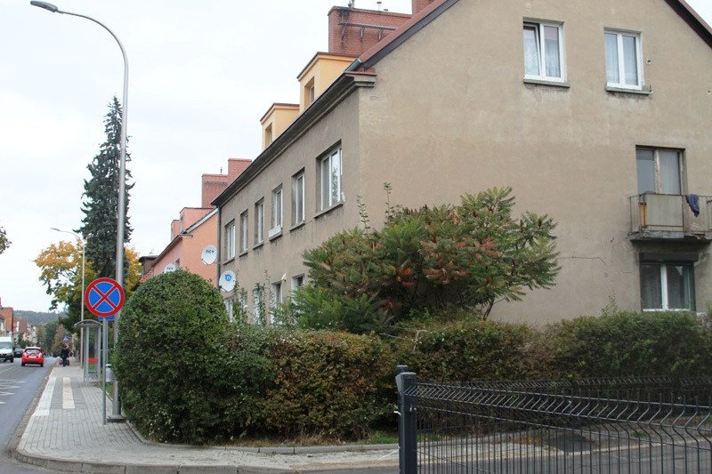 pies-umiera-w-meczarniach-77470