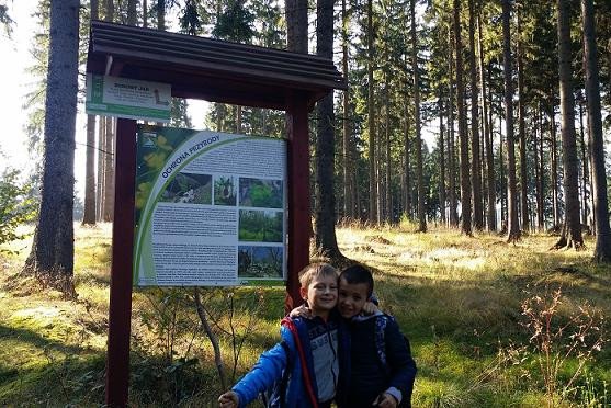 zbiorka-kasztanow-i-zoedzi-w-siodemce-77505