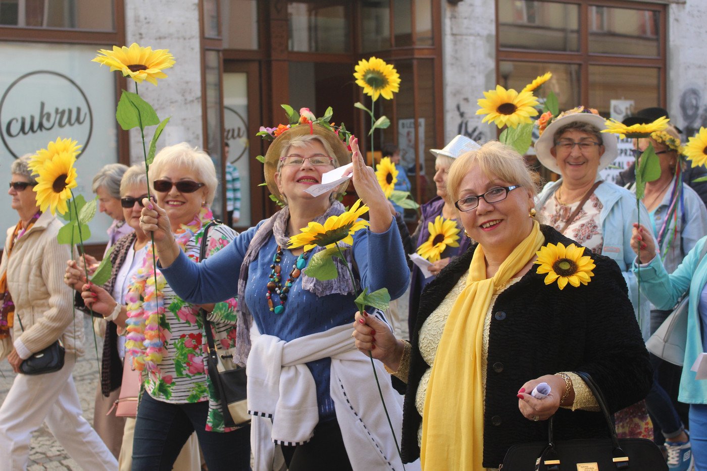 miasto-w-rekach-seniorow-77517