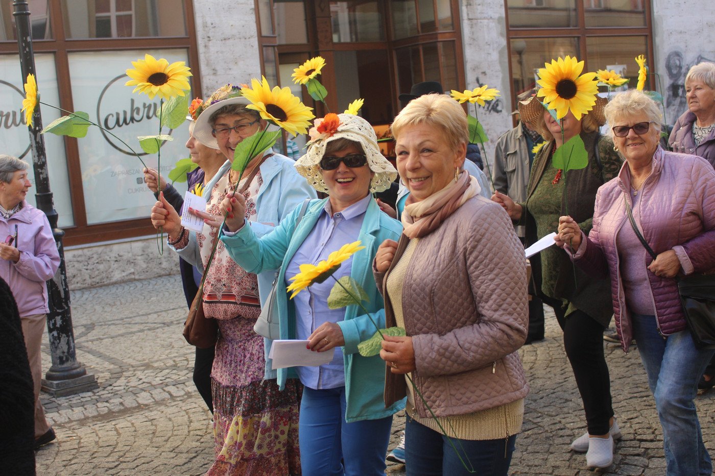 miasto-w-rekach-seniorow-77517