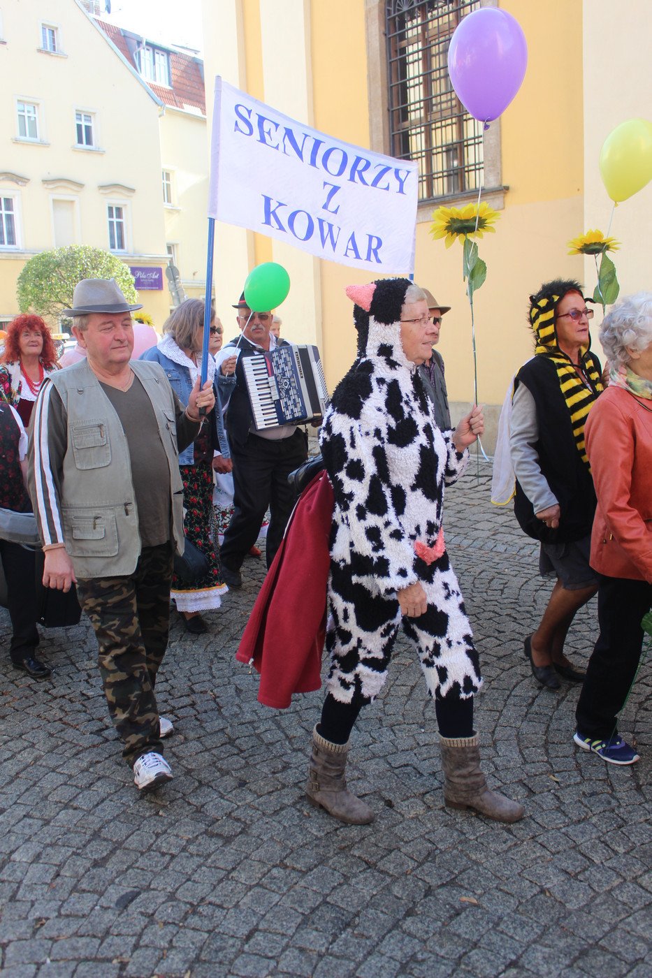 miasto-w-rekach-seniorow-77517