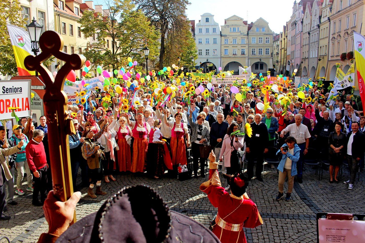 miasto-w-rekach-seniorow-77517