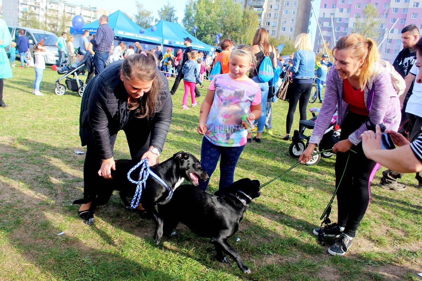 piknik-spoek-komunalnych-77531