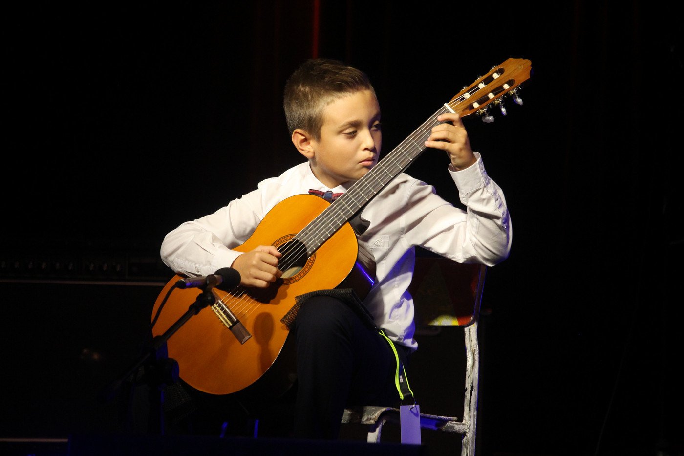 krokusik-dla-modych-muzykow-77540