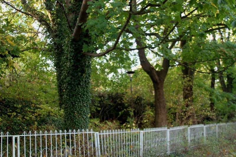 park-wstydu-77586
