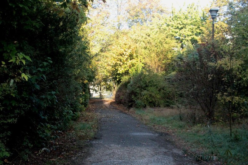 park-wstydu-77586