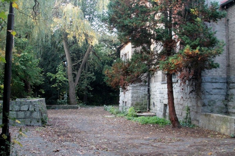 park-wstydu-77586